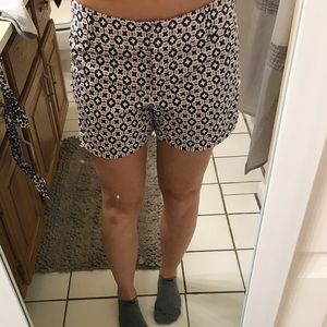 Loft Rivera Shorts Size 0 💜👖